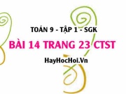 Bài 14 trang 23 Toán 9 tập 1 Chân trời sáng tạo SGK